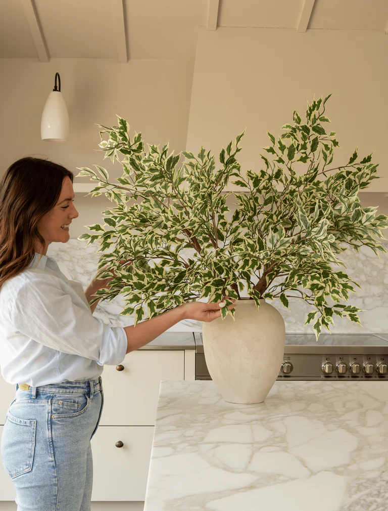 Elevate Your Space with Contempee